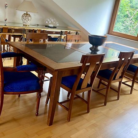 Wunderschoenes Grosses 3 Zimmer Apartament Zentrum Goldstadt Familienfreundlich Mit Garage Pforzheim Dış mekan fotoğraf