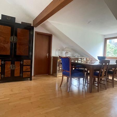 Wunderschoenes Grosses 3 Zimmer Apartament Zentrum Goldstadt Familienfreundlich Mit Garage Pforzheim Dış mekan fotoğraf